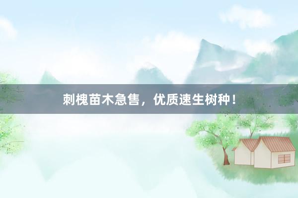 刺槐苗木急售，优质速生树种！