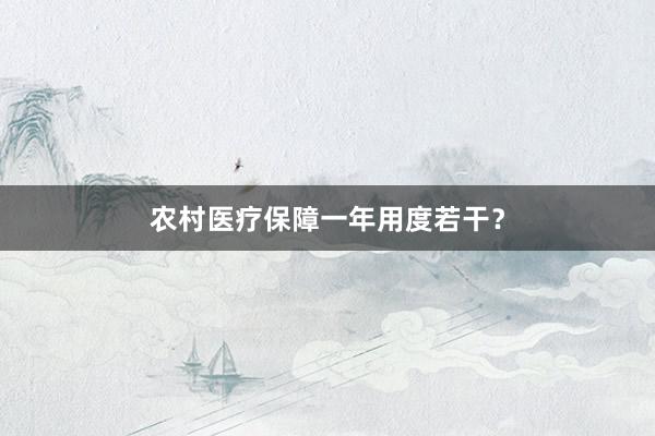 农村医疗保障一年用度若干？