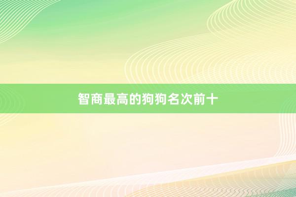 智商最高的狗狗名次前十